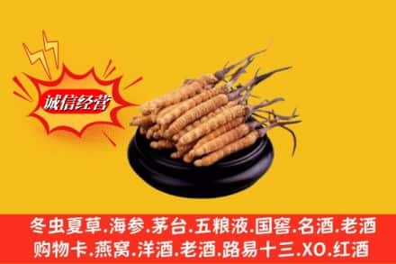 西宁市城东名酒回收冬虫夏草.jpg